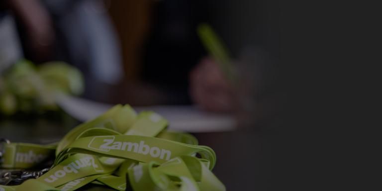 PARTNERING OPPORTUNITIES