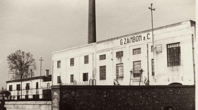 The Zambon Group
